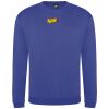 Pro sweatshirt Thumbnail